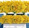 16PCS Artificial Flowers for Outdoors UV Resistant (Yellow) 9.45"D x 9.45"W x 13"H